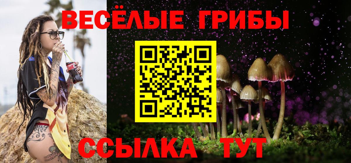 Галлюциногенные грибы GOLDEN TEACHER Люберцы